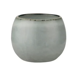 Amera eierdop, Grijs