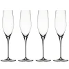 Authentis champagneglas 19 cl, 4 stuks, transparant
