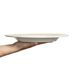 Basic bord, 28 cm, Zand