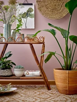 Begonia kan aardewerk 23,5 cm, Green