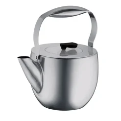 Bodum Columbia theepot, mat