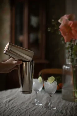 Bora Boston shaker, Roestvrij staal