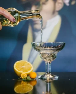 Chicago cocktailglas 6-pack, 21 cl