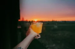 City wijnglas 26 cl 6-pack, Transparant