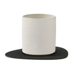 Core glasonderzetter curve , Flecked anthracite