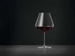 Definition Burgundy rodewijnglas 96 cl 4-pack, Helder