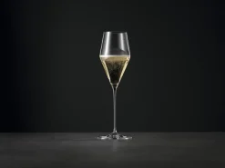 Definition champagneglas 25 cl 4-pack, Helder