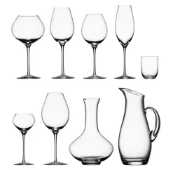 Difference fruit wijnglas, 45 cl