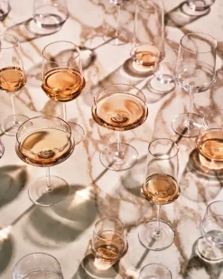 Dune champagnecoupe 28 cl 4-pack, Clear