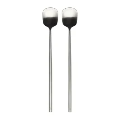 Ernst longdrink lepel 2-pack, Roestvrij staal