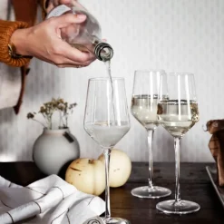 Ernst mousserende wijnglazen 2-pack, 30 cl