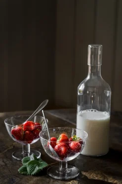 Ernst schaal bubbelglas 2-pack, Helder