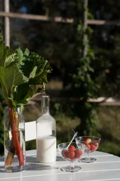 Ernst schaal bubbelglas 2-pack, Helder