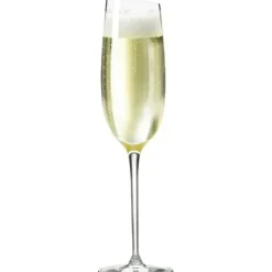 Eva Solo champagneglas, 1-pack
