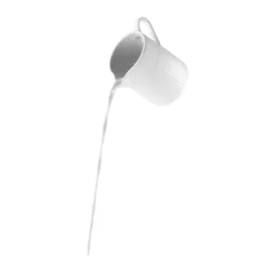 Eva Trio Legio Nova kan met handvat, 0,33 L