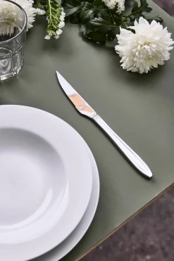 Gastro steakmes, Roestvrij staal