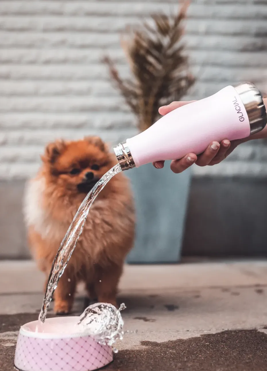 Glacial waterfles 280 ml, Matte pink powder