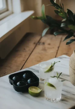 Isha ronde ijsblokjesvorm 4 st., Zwart