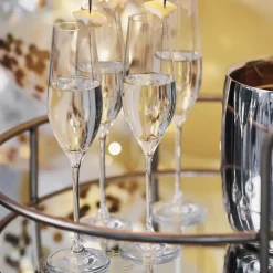 Karlevi champagneglas 4 stuks, 21 cl