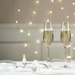 Karlevi champagneglas 4 stuks, 21 cl