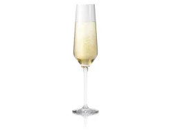 Legio Nova champagneglas 26 cl, 6-pack