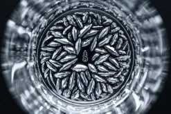 Lounge 2.0 whiskyglas 30,9 cl 4-pack, Transparant