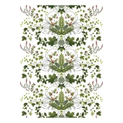 Lövsång tafelzeil, Groen