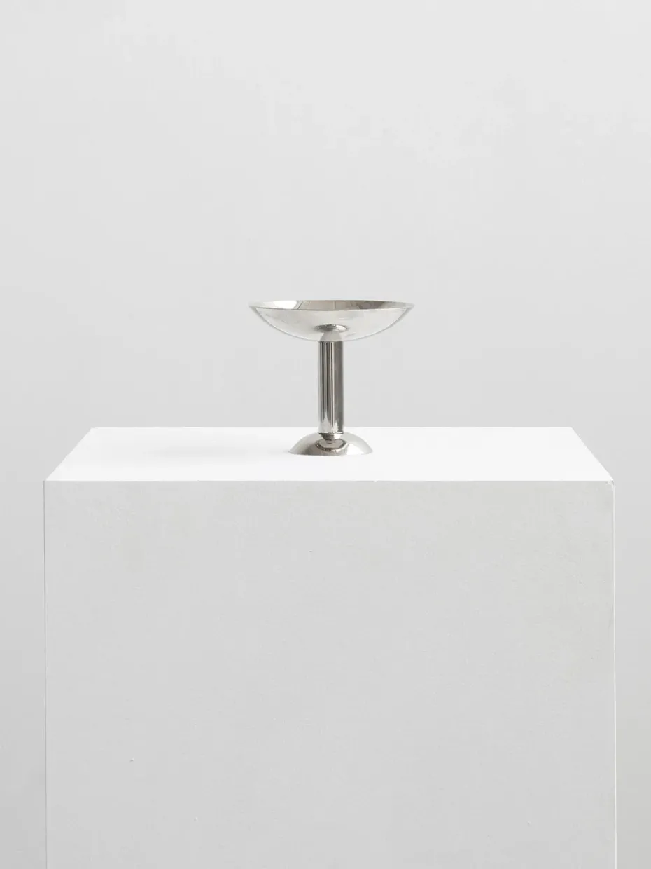 Metal champagnecoupe hoog, Roestvrij staal