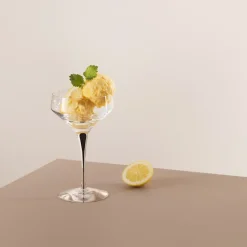 Metropol champagnecoupe 24 cl, Zwart