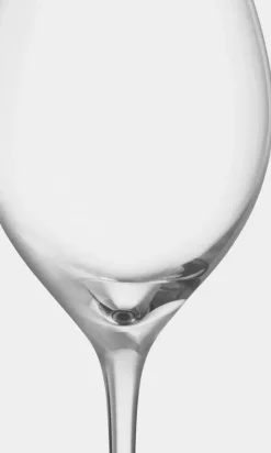 More Champagne Boule champagneglazen 31 cl 2-pack, Helder