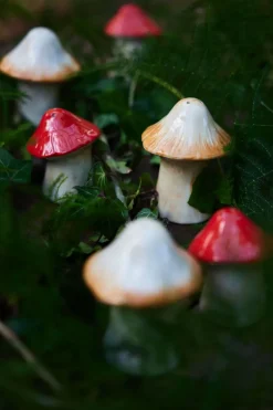 Mushi peper- en zoutstel, Multi