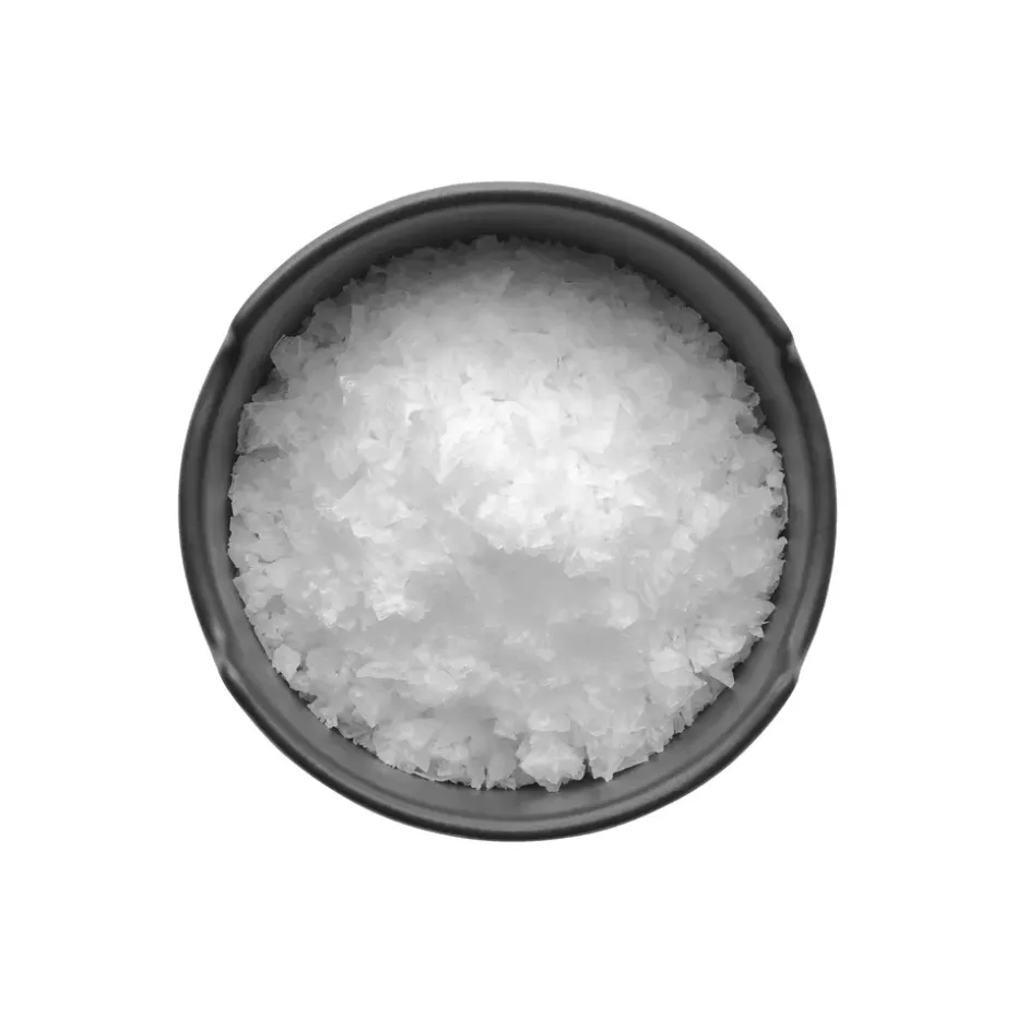 Nordic Kitchen zoutpot met deksel, Zwart