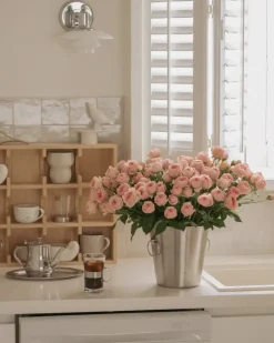 Nordwik champagne-emmer, Roestvrij staal