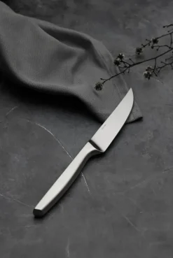 Norm grillmes 4-pack, Mat roestvrij staal