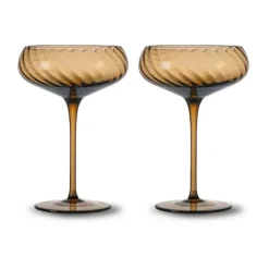Opacity champagnecoupe 30 cl 2-pack, Bruin