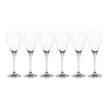 Party champagneglas 16 cl, 6-pack
