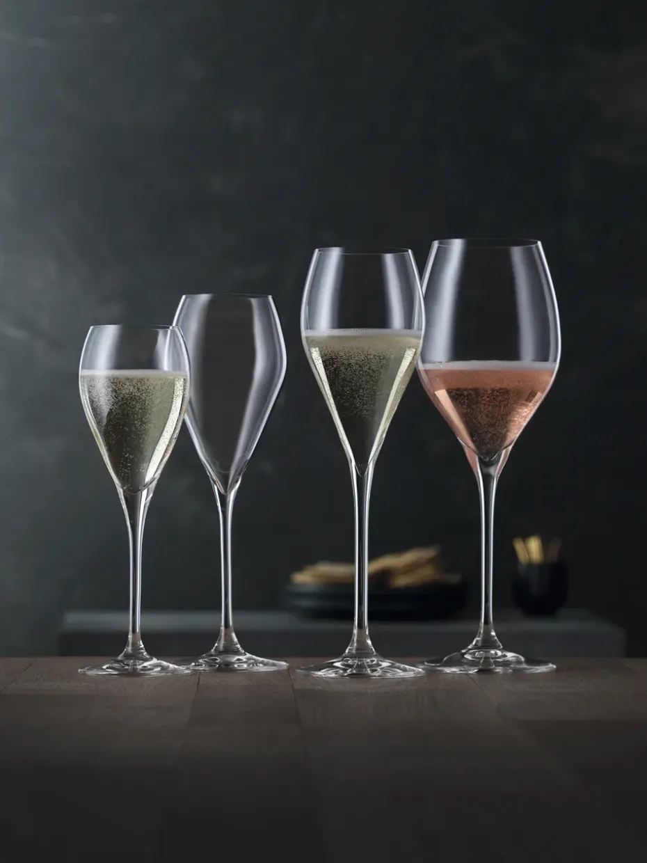 Party champagneglas 16 cl, 6-pack