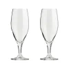 Passion connoisseur bierglas 40 cl 2-pack, Clear
