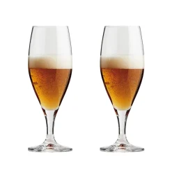 Passion connoisseur bierglas 40 cl 2-pack, Clear