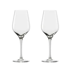 Passion connoisseur witte wijnglas 42 cl, 2-pack