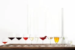 Perfection martiniglas 29 cl 6-pack, Transparant