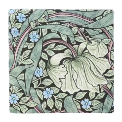 Pimpernel servet 33x33 cm 20-pack, Multi