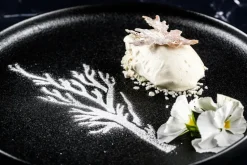 Plate-it quenelle lepels 2-pack, Staal