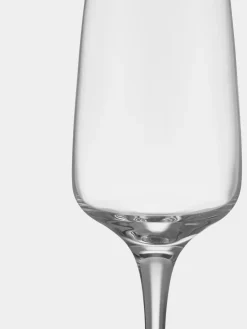 Pulse champagneglas 28 cl 2-pack, Transparant