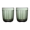 Raami drinkglas 26 cl 2-pack, Dennengroen