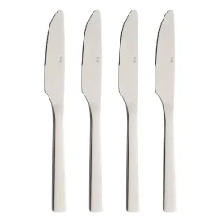 Raw dinermes 4-pack, Roestvrij staal