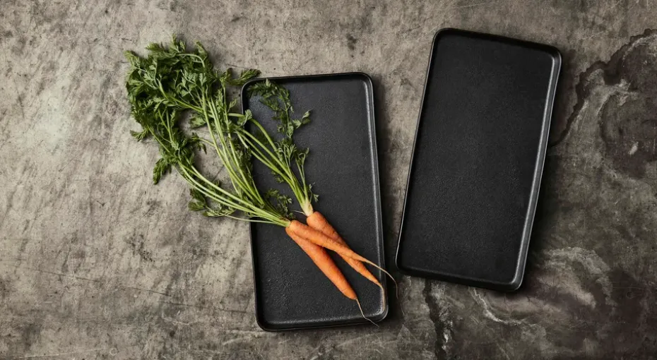 Raw schotel 18x34 cm 2-pack, Titanium Black