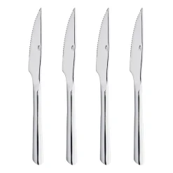 Raw steakmes, Roestvrij staal