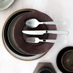 Rejka voor- & nagerecht-vork, Roestvrij staal