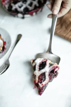 Robert Welch signature taartschep, Roestvrij staal